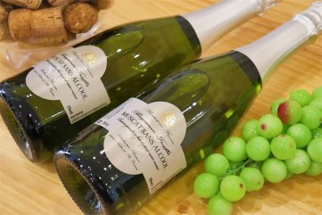 国产红酒品牌排行